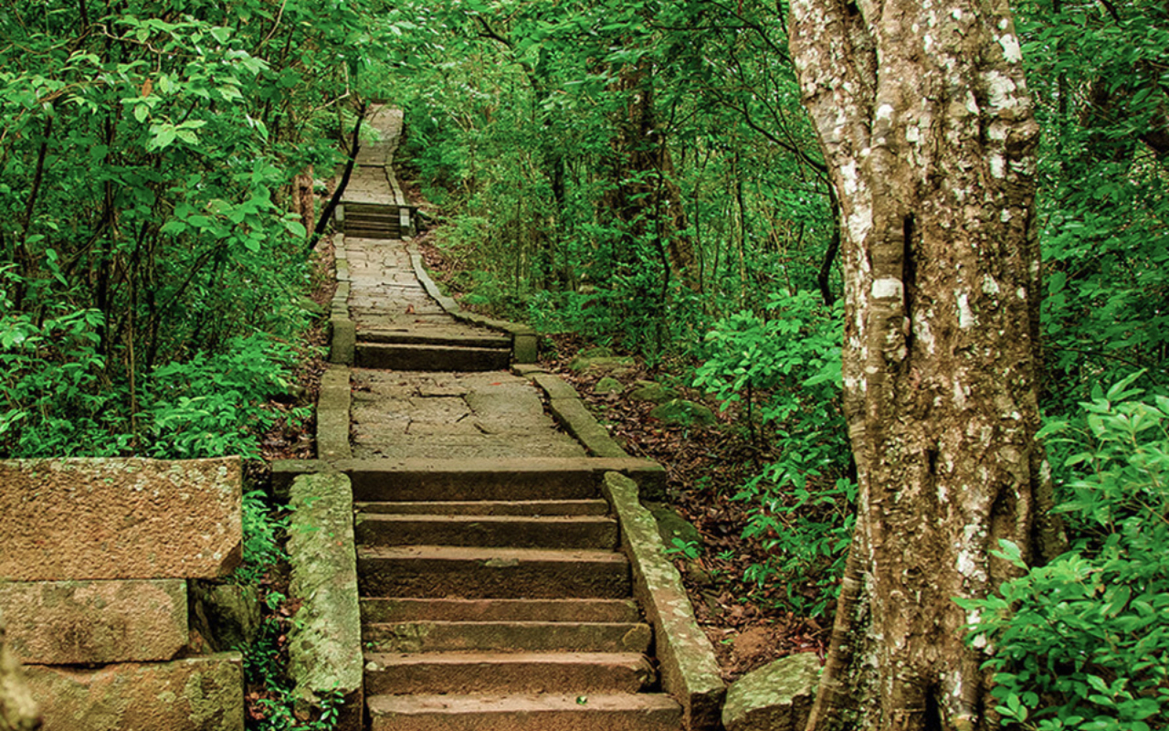 Ritigala Forest Trek